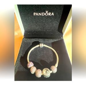 Authentic Pandora bracelet with all the charms.